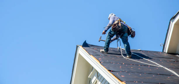 Professional Roofing Contractor in Kenton, TN